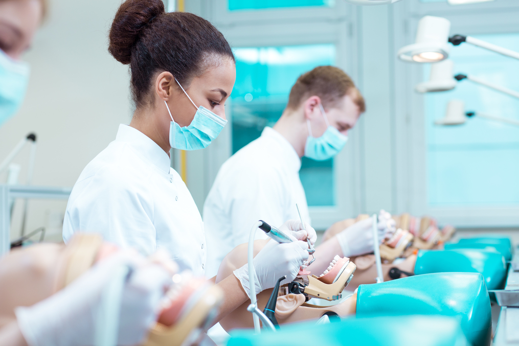 Dental students practicing cleaning fake teeth